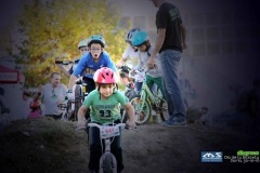 dia_da_bici_2016-258