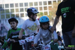 dia_da_bici_2016-342