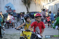 dia_da_bici_2016-87