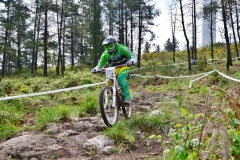 III_DH_SARRIA-101