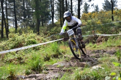 III_DH_SARRIA-105