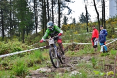III_DH_SARRIA-117