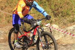 GMR2017-155