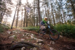 110623-DH-Molinos-2023-4232